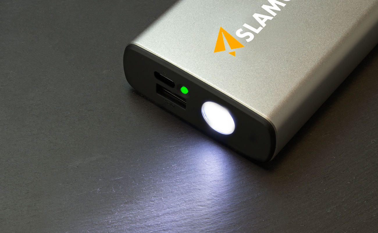 Rex - Custom Power Bank gallery thumbnail